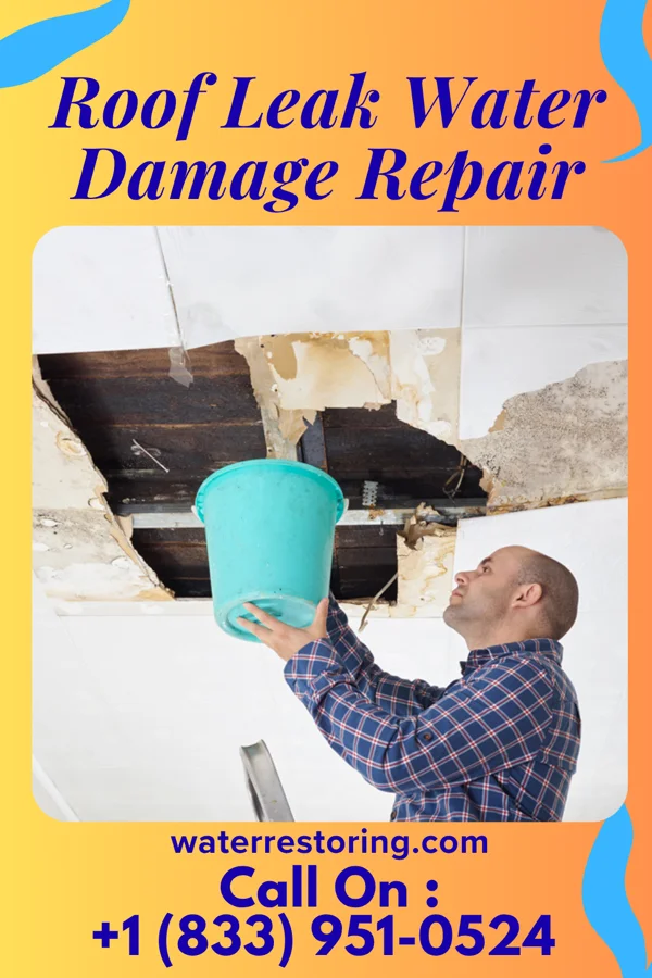 Roof Leak Water Damage Repair in Fremont, WI